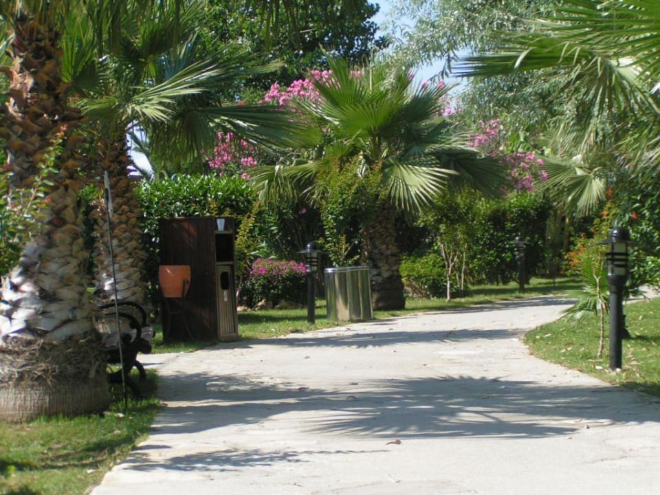 Gartenanlage Alba Resort Hotel