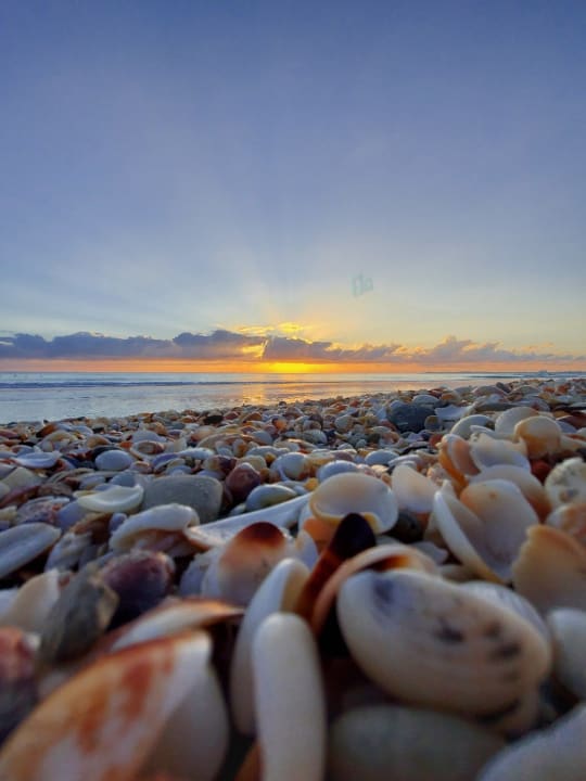 Strand Mahdia Beach & Aquapark