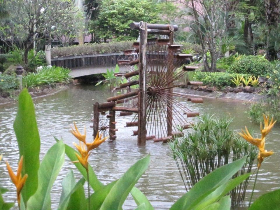 Weiher Annika Koh Chang