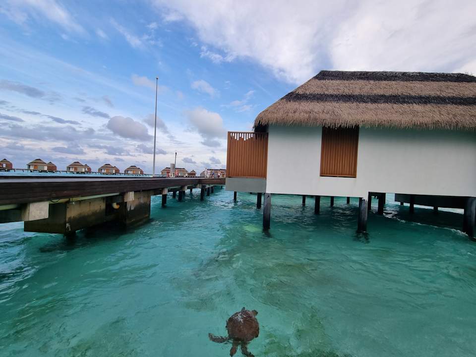 Außenansicht Pullman Maldives Maamutaa - All-Inclusive Resort - 50% off Domestic Transfers