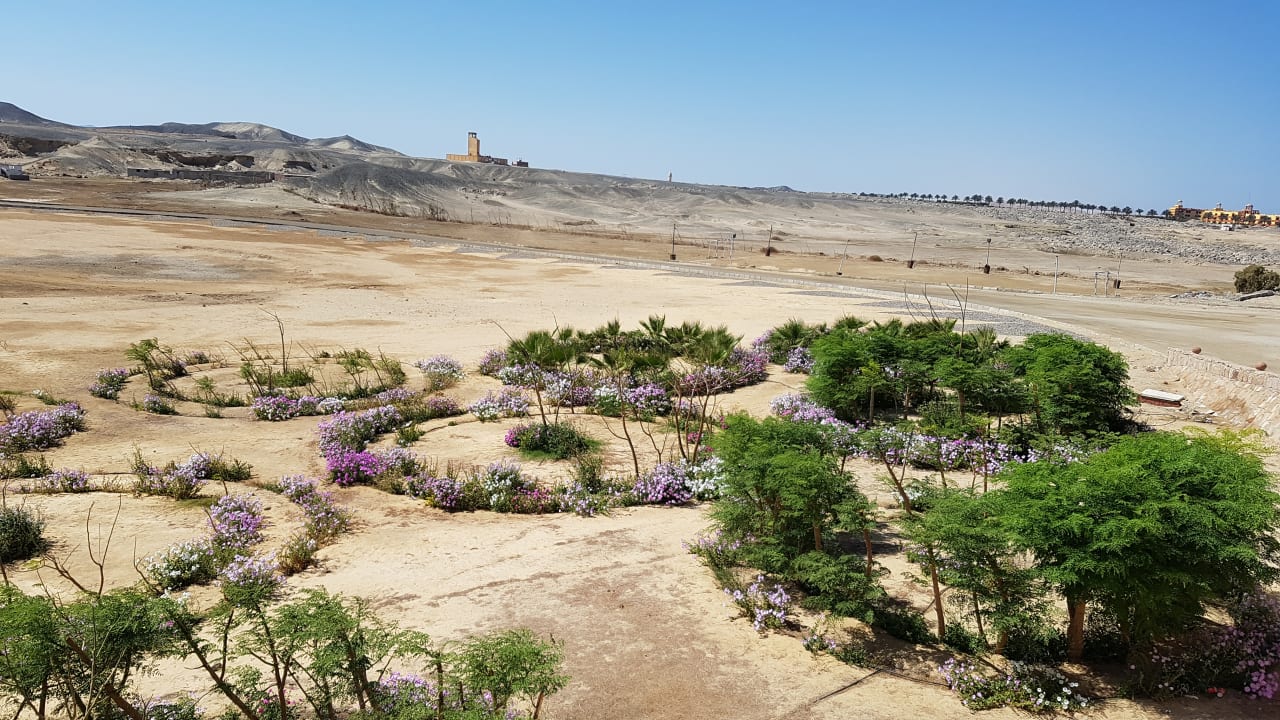 Außenansicht Three Corners Equinox Beach Resort
