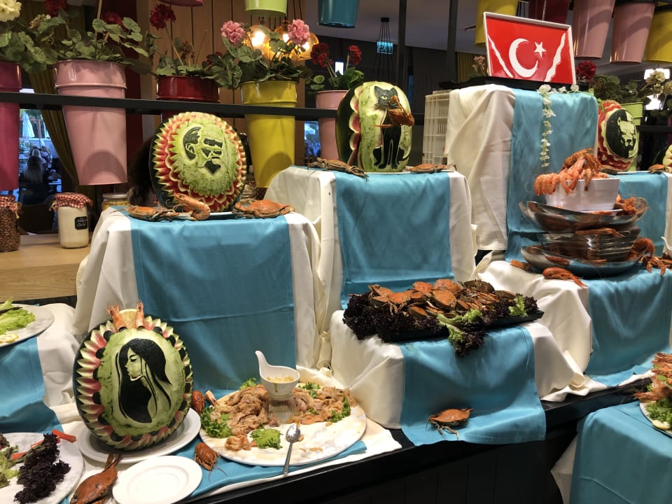 Gastro Seashell Vega