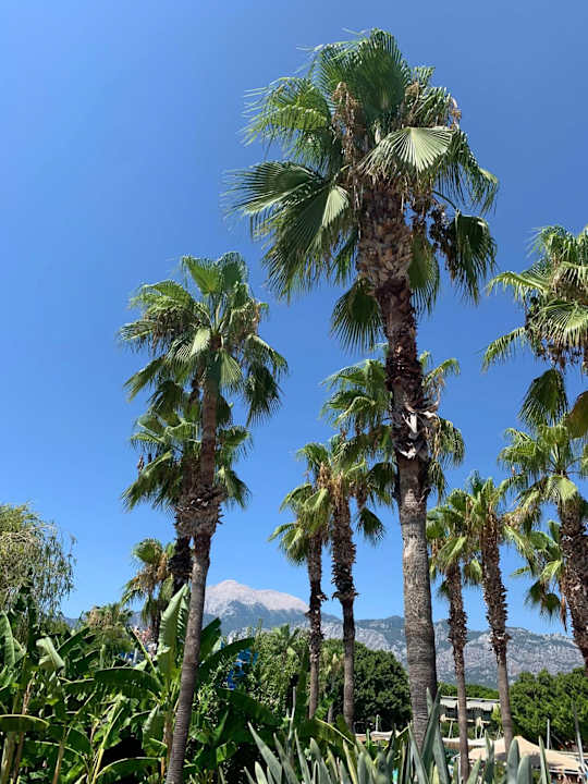 Gartenanlage Limak Limra Hotel & Resort