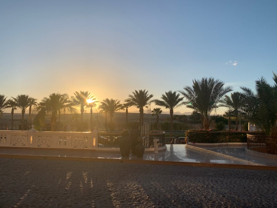Ausblick Pickalbatros Palace Resort