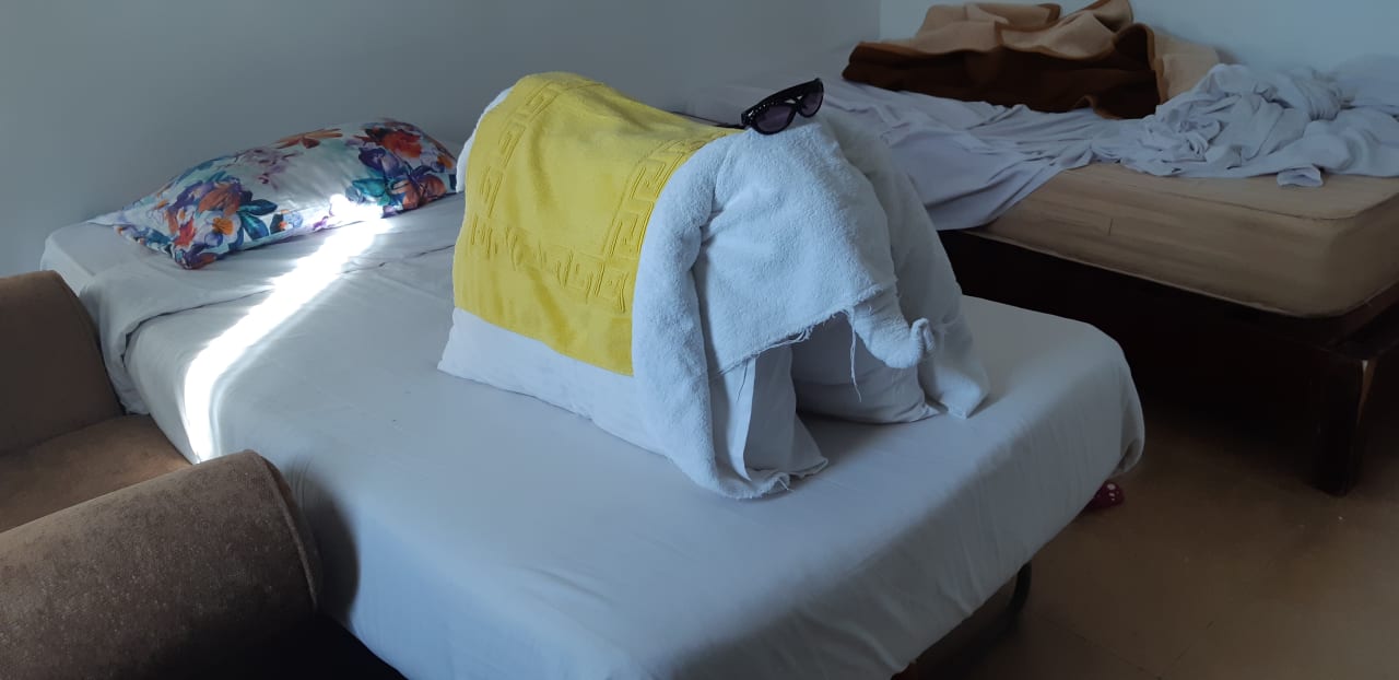 Zimmer Marlin Inn Azur Resort