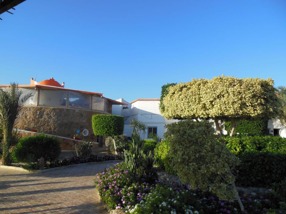 Restaurant Hotel Coral Garden