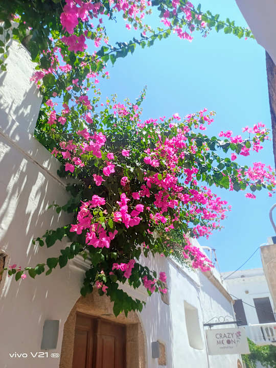 Sonstiges Esperides Beach Resort