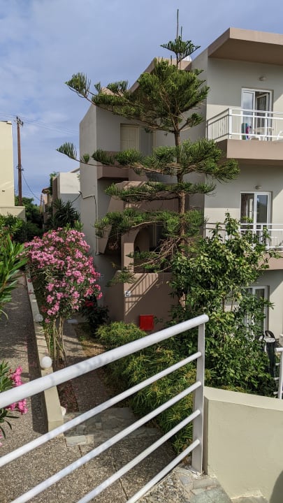 Außenansicht Pelagia Bay Hotel