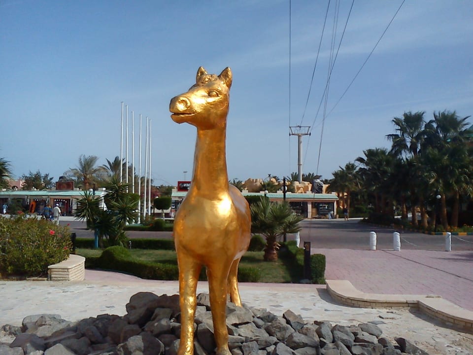 Pferd Blend Club Aqua Resort