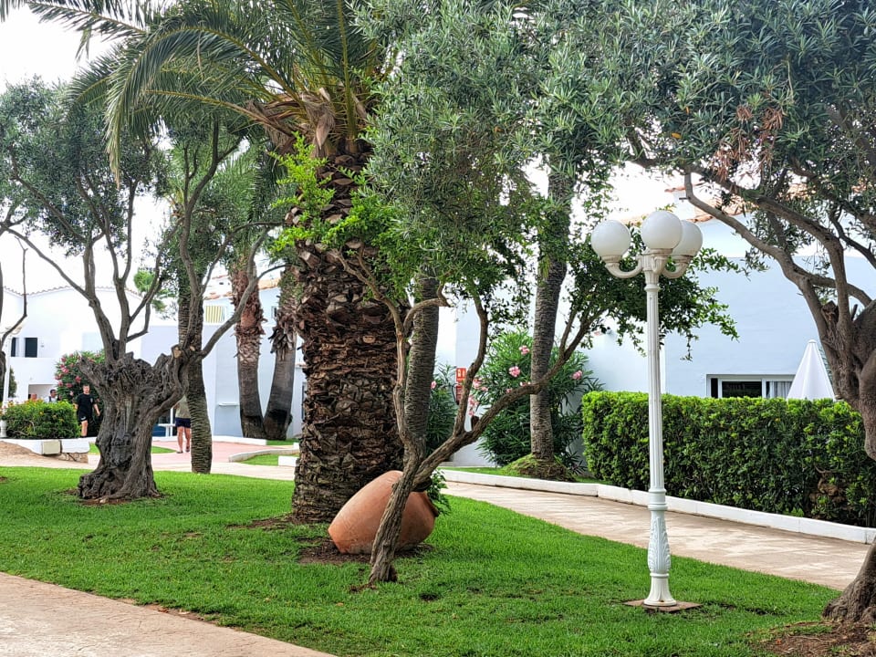 Gartenanlage Marinda Garden Aparthotel