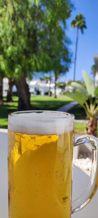 Gastro Canary Garden Club