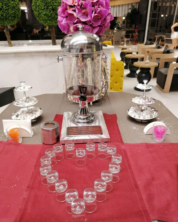 Gastro Seashell Vega