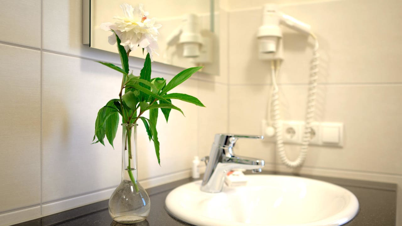 Badezimmer (Komfort) Landgasthof Zum Eisernen Ritter