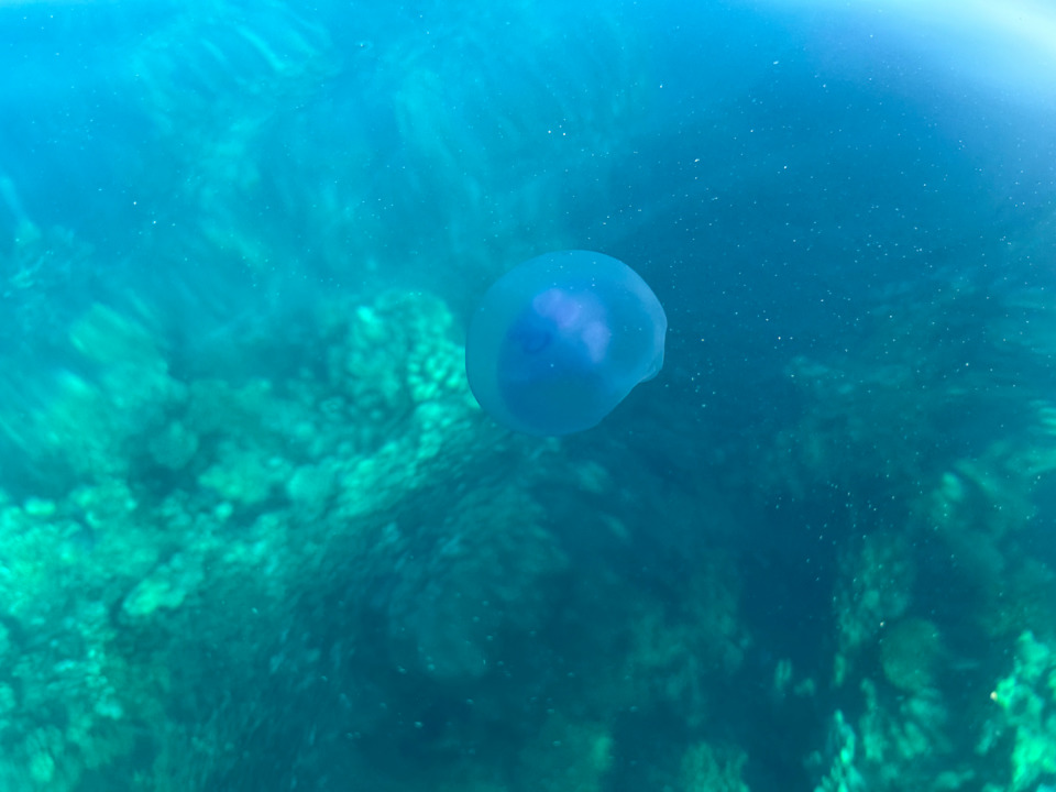 Strand SUNRISE Anjum Resort Marsa Alam