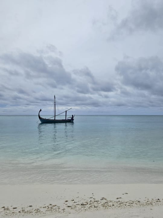 Strand Summer Island Maldives