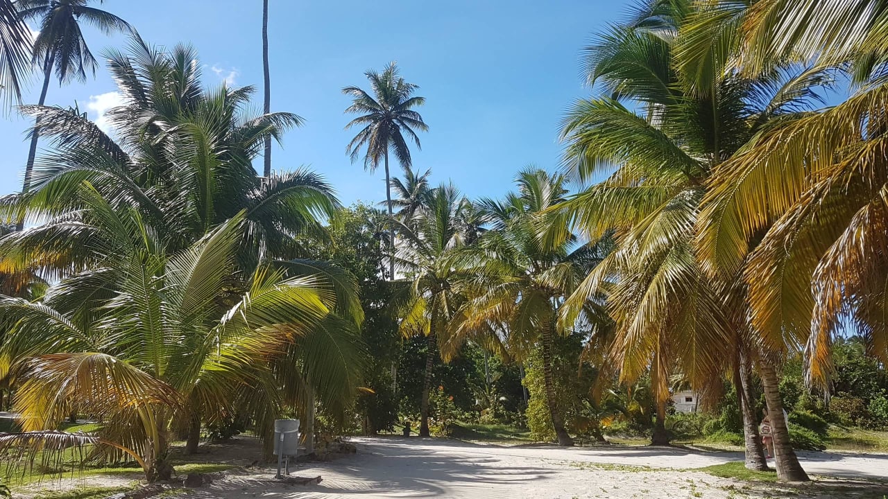 Weg zum Strand Villas Bavaro Resort & Spa