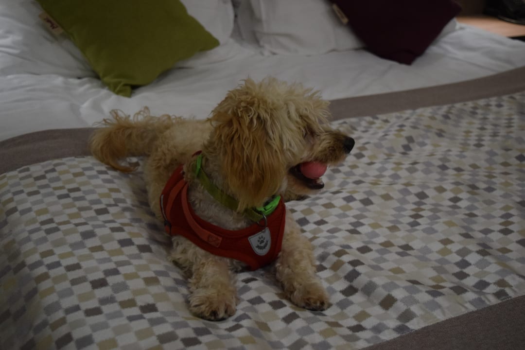 Zimmer Mirotel Resort & Spa