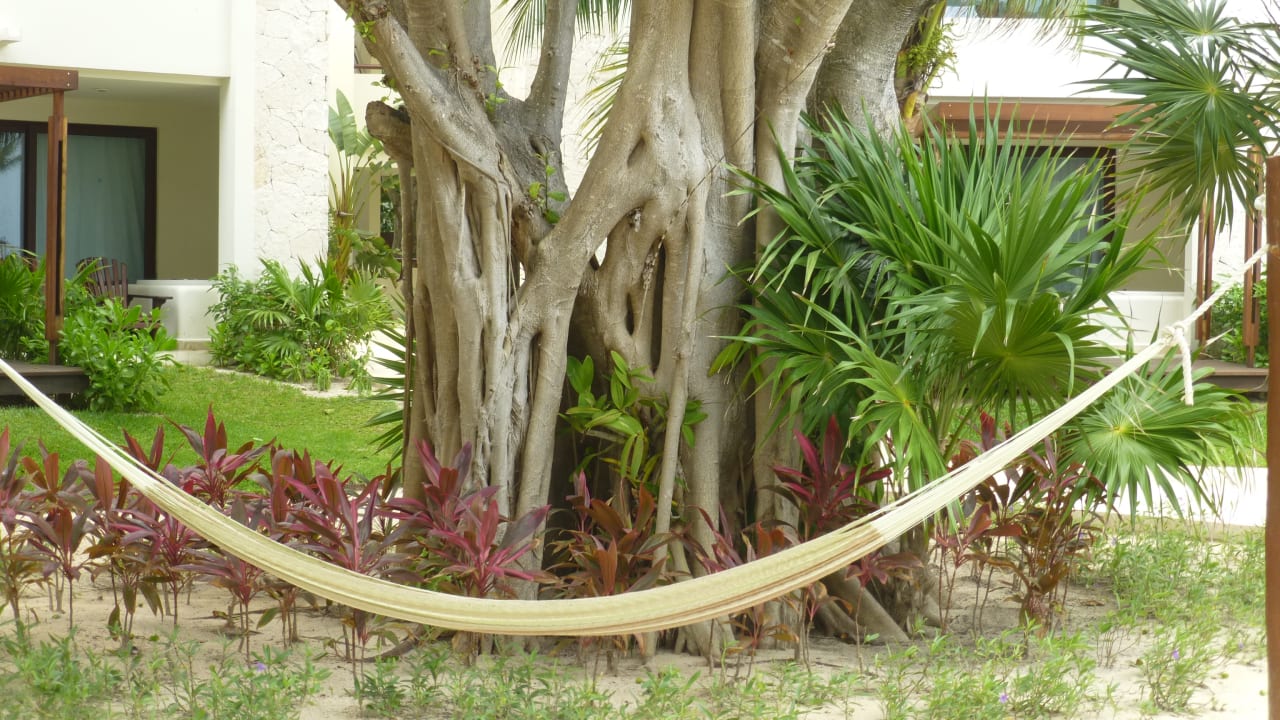 Gartenanlage Akumal Bay Beach & Wellness Resort