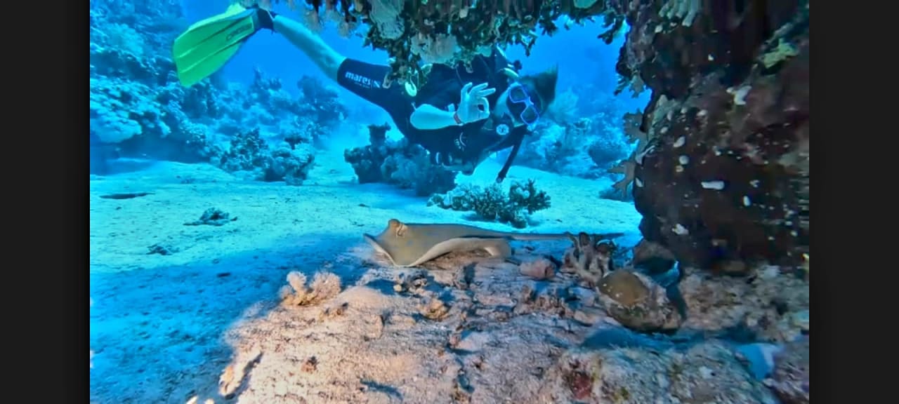 Sport & Freizeit Marina View Port Ghalib Hotel