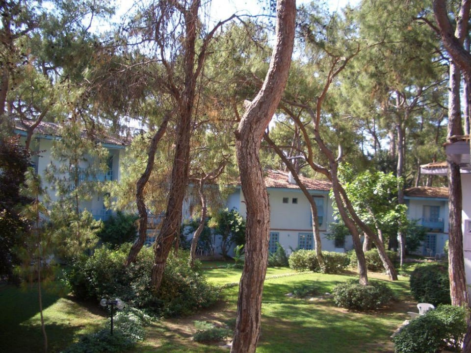 Blick aus unserem Zimmer Ulusoy Kemer Holiday Club