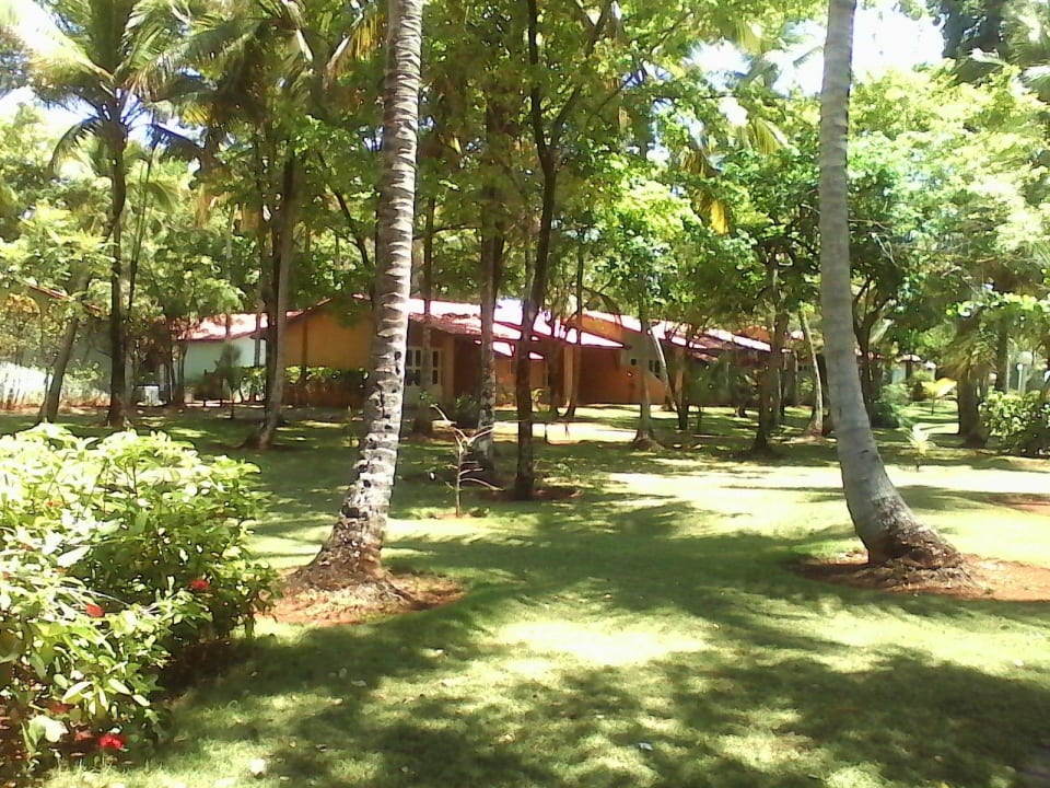 Blick in den Garten Wyndham Alltra Samana