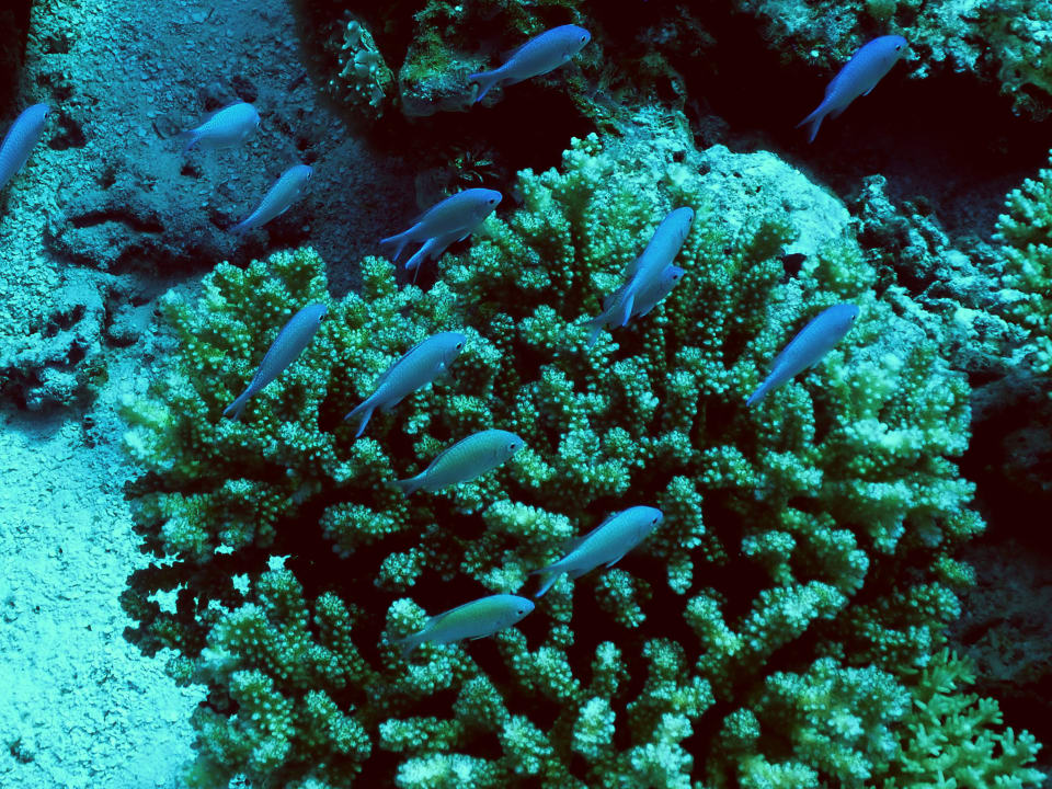 Sport & Freizeit ROBINSON MALDIVES