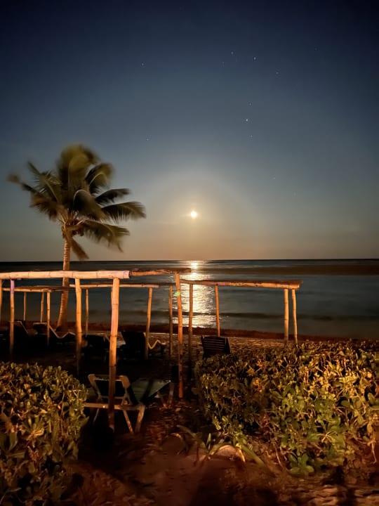 Strand Akumal Bay Beach & Wellness Resort