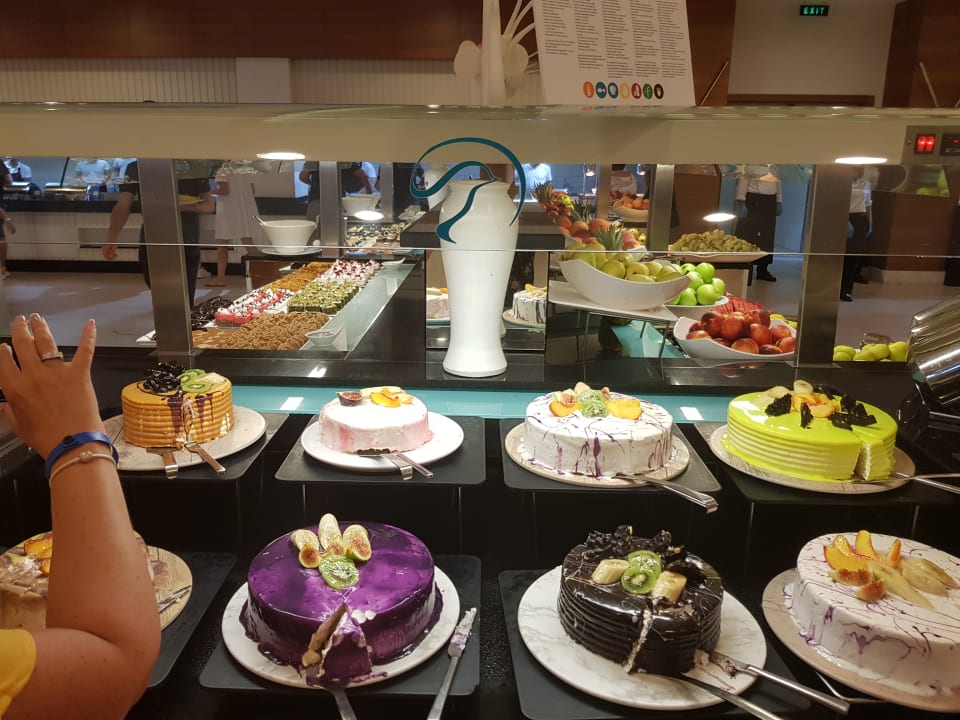 Gastro Paloma Oceana