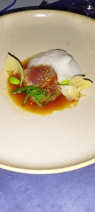 Gastro Acanthus Cennet Barut Collection