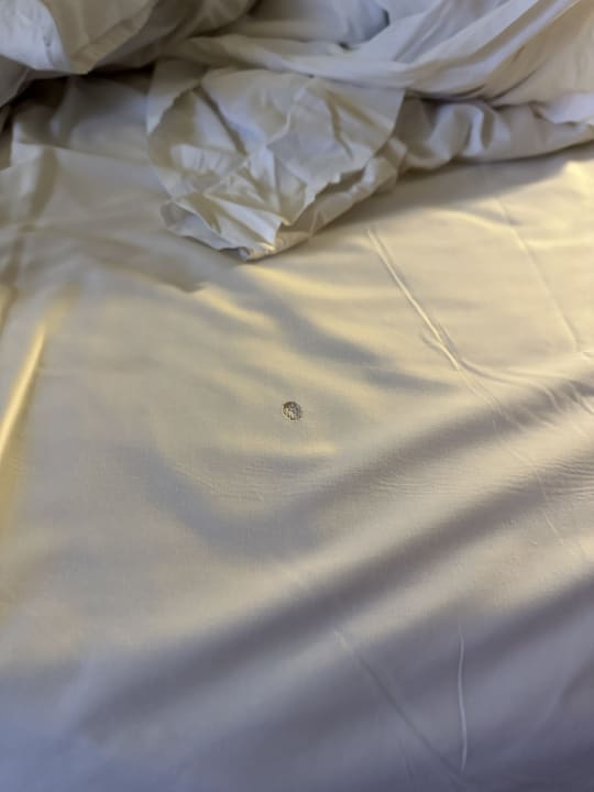 Zimmer Grand Palladium Select Bávaro Resort & Spa