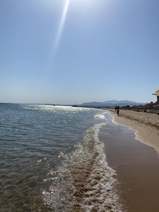 Strand Shams Prestige Abu Soma-Adults Only