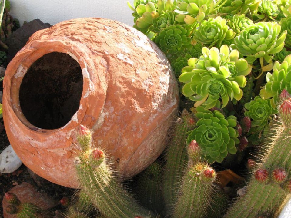 Hotel Decoration Hotel Homeric Poems