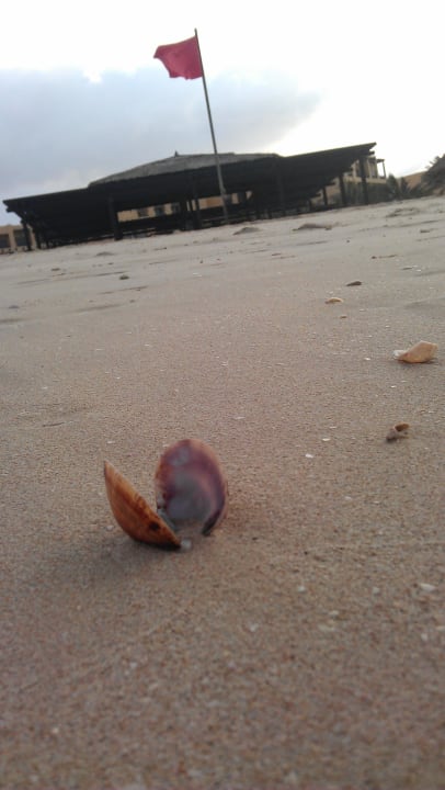 Feiner Sand Rixos Al Mairid Ras Al Khaimah