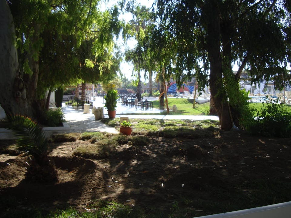 Вид из номера The Club Hammamet