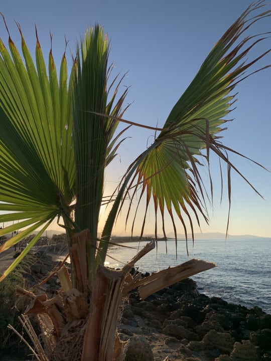 Strand Stella Palace Aqua Park Resort