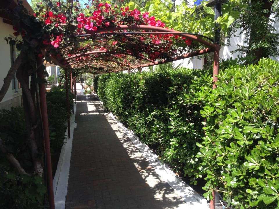 Ogród Club Lyda Hotel