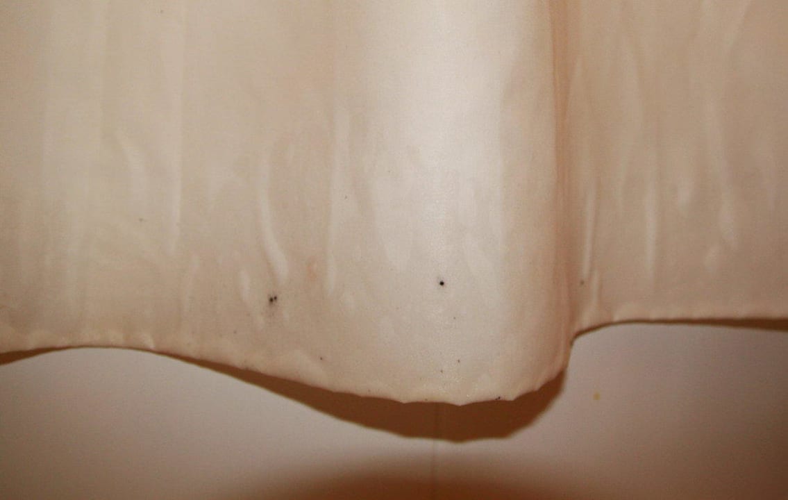 Schimmel auf Duschvorhang Hotel Mohren