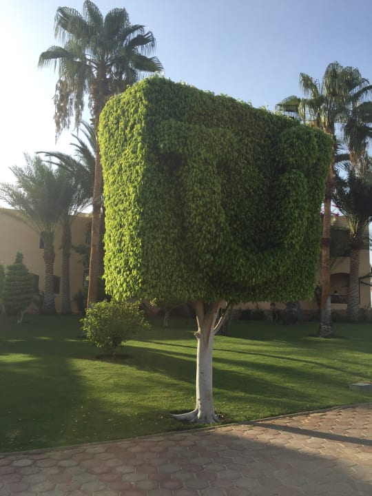 Gartenanlage Steigenberger Coraya Beach - Adults only