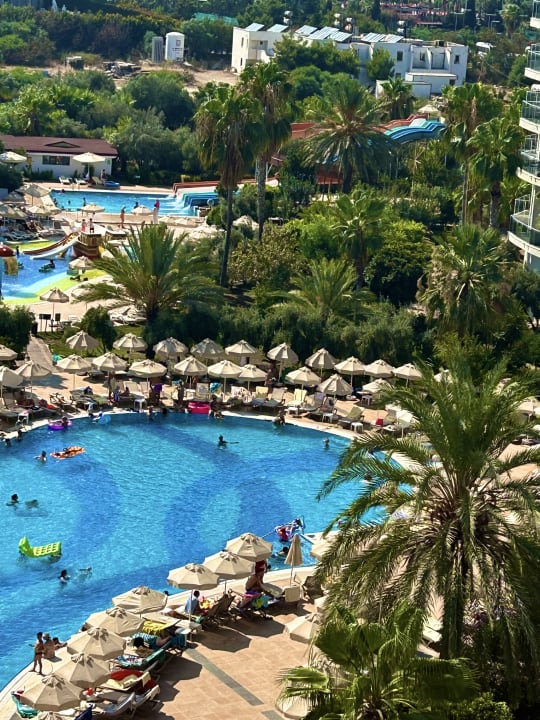 Pool Seaden Sea World Resort & Spa