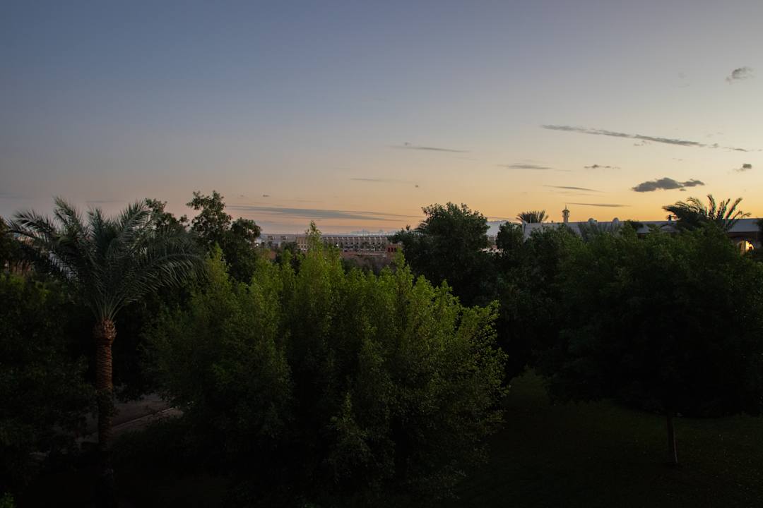 Ausblick Desert Rose