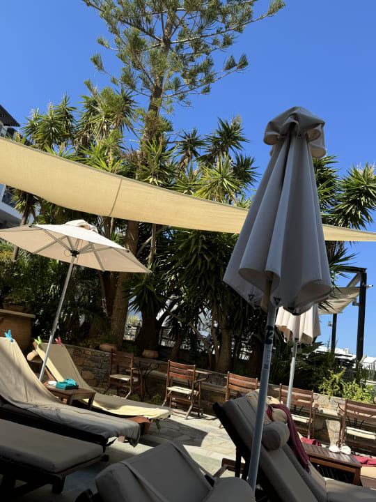 Gartenanlage Albatros Spa & Resort Hotel