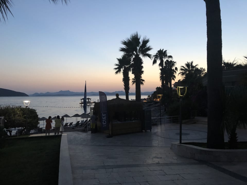 Ausblick TUI MAGIC LIFE Bodrum - Adult Only (16+)