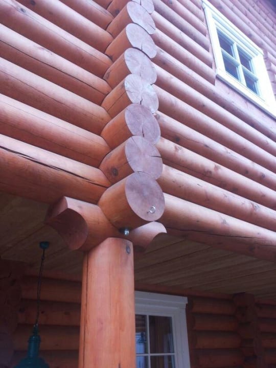 Verarbeitung der Polarkiefer aus Kanada Hotel Lido Senftenberg