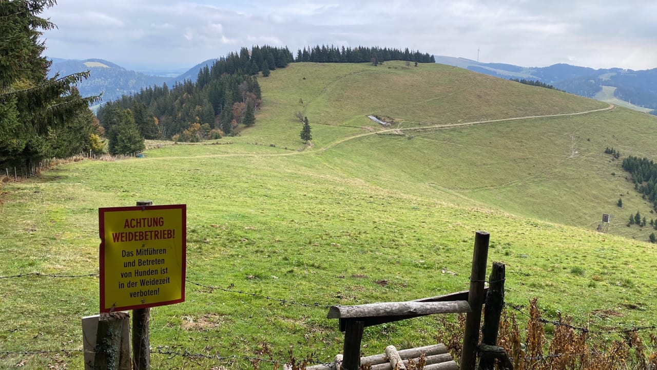 Ausblick Almwellness Hotel Pierer