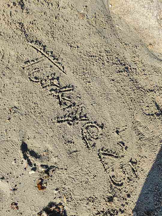 Strand Dizalya Palm Garden