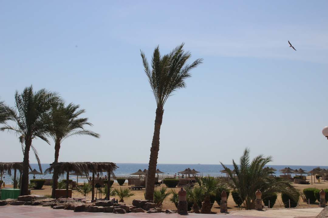 Ausblick Shams Alam Beach Resort