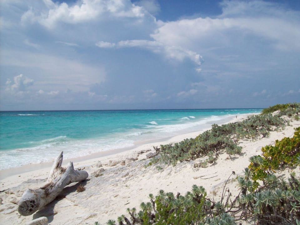 Strand vom Resort Cayo Largo Hotel Cayo Largo del Sol