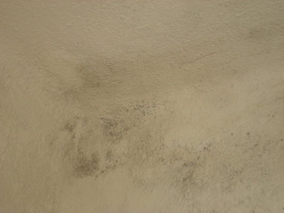 Schimmel an der Decke Ahoi! Urban Beach Hotel