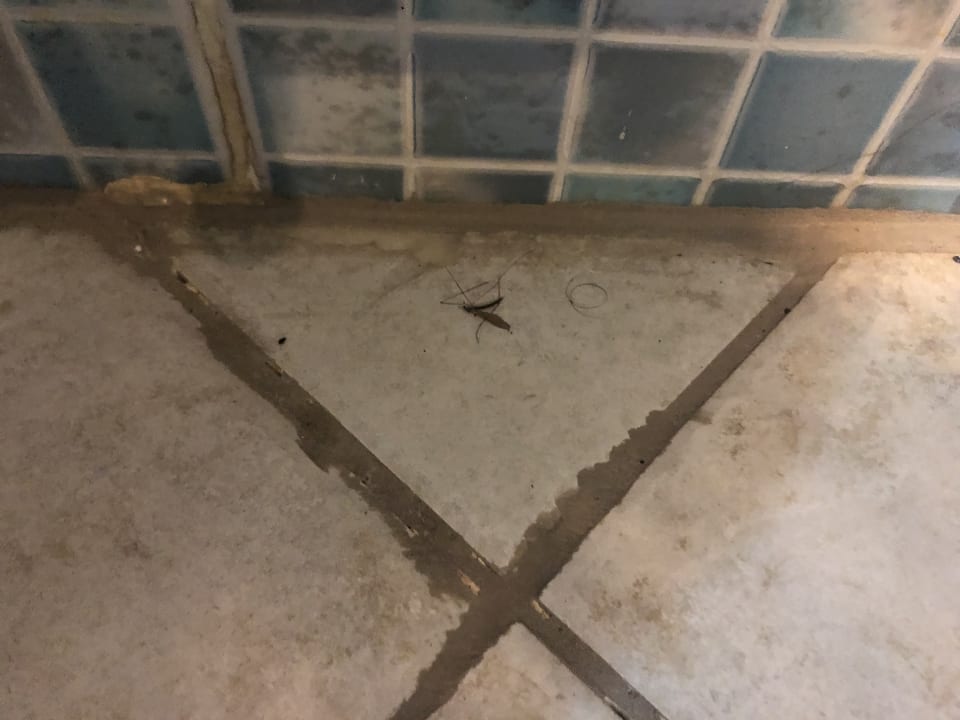 Zimmer Queen's Park Resort Göynük