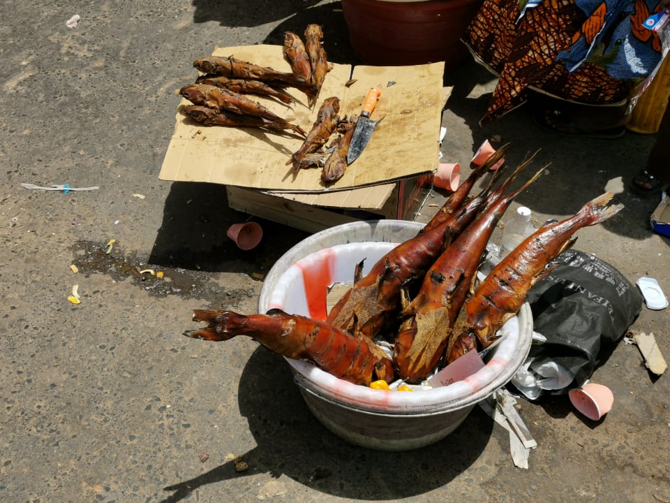 Gastro TUI BLUE Tamala